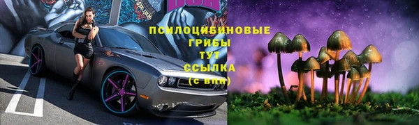 шишки Богородицк