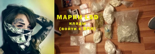 шишки Богородицк