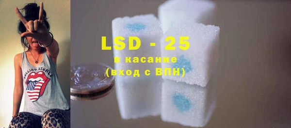 шишки Богородицк
