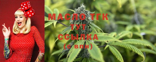 шишки Богородицк