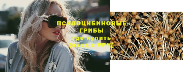 шишки Богородицк