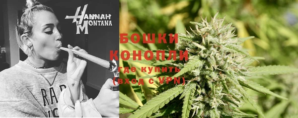 шишки Богородицк